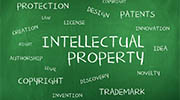 Poland intellectual property rights investigator